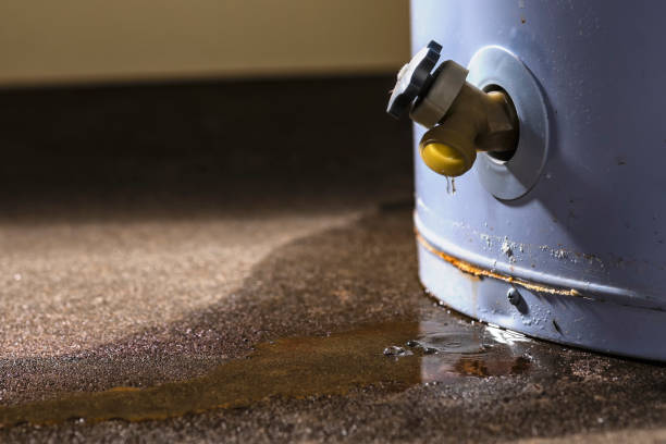 Best Sewage cleanup and water damage restoration  in Lamar, SC