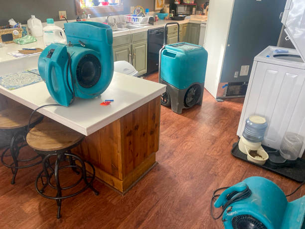 Best Water damage restoration near me  in Lamar, SC