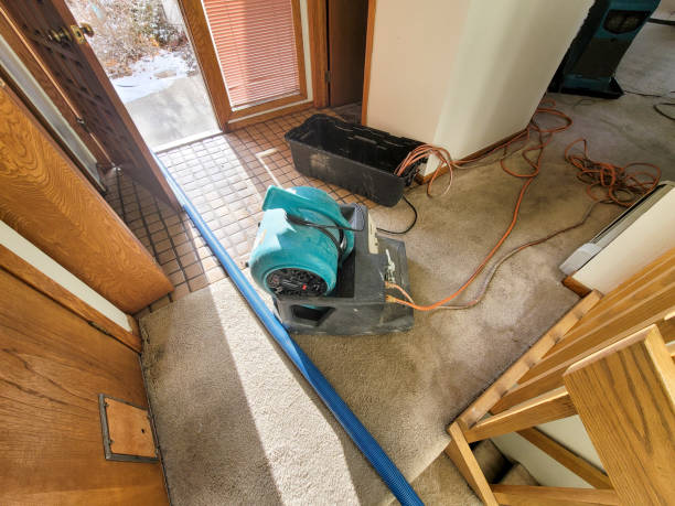 Best Mold removal after water damage  in Lamar, SC