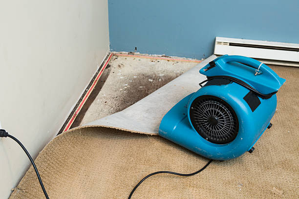 Best Water damage restoration near me  in Lamar, SC